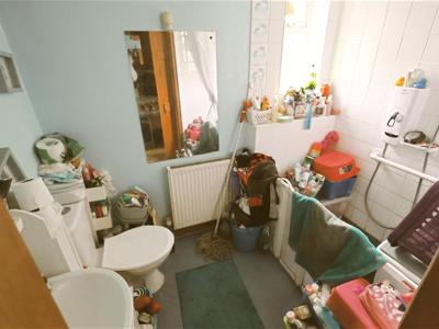Picture 7